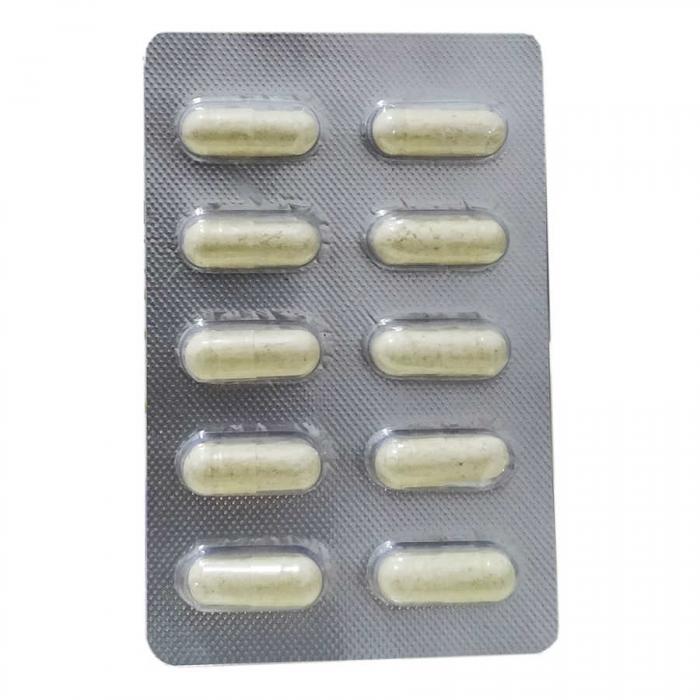 Bitkisel Kapsül 10 X 500 Mg