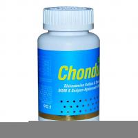 Glucosamine Chondroitin MSM 90 Tablet