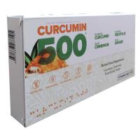 Herbal Food Altın Yoğurt Kürü 10 Şase X 6 Gr