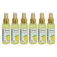 Limon Kolonyası 80° Sprey 6 X 100 ML