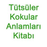 Tütsüler Kokular ve Anlamları - Tarık Demira - 2020